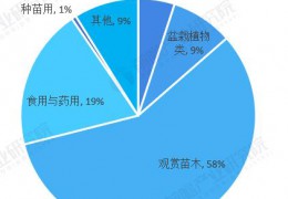 2022年中國(guó)盆栽植物行業(yè)發(fā)展現(xiàn)狀及市場(chǎng)規(guī)模分析