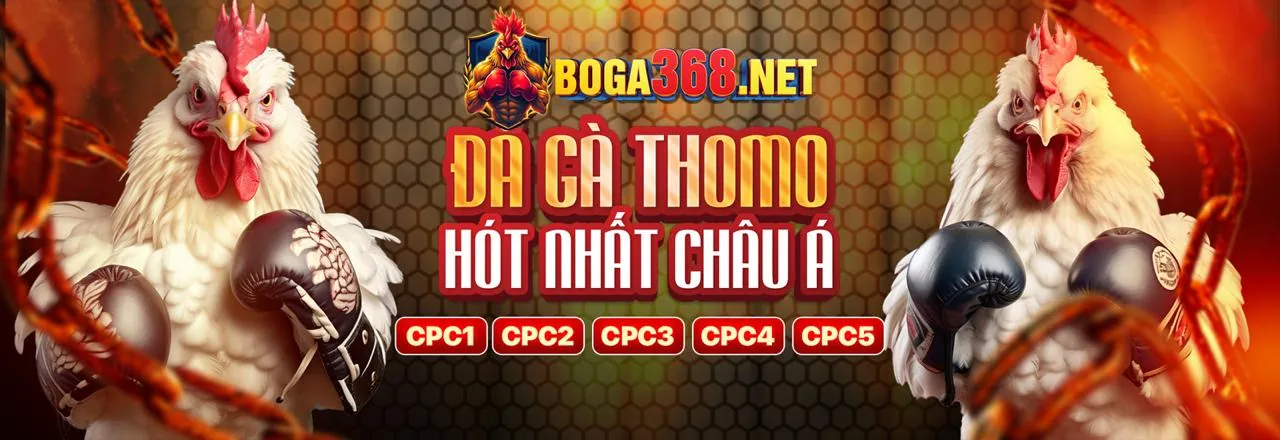 Đá Gà Trực Tuyến lucky888 chính thức