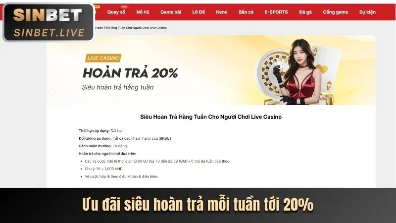 Hoàn Trả Cược Hàng Ngày/Tuần lucky888